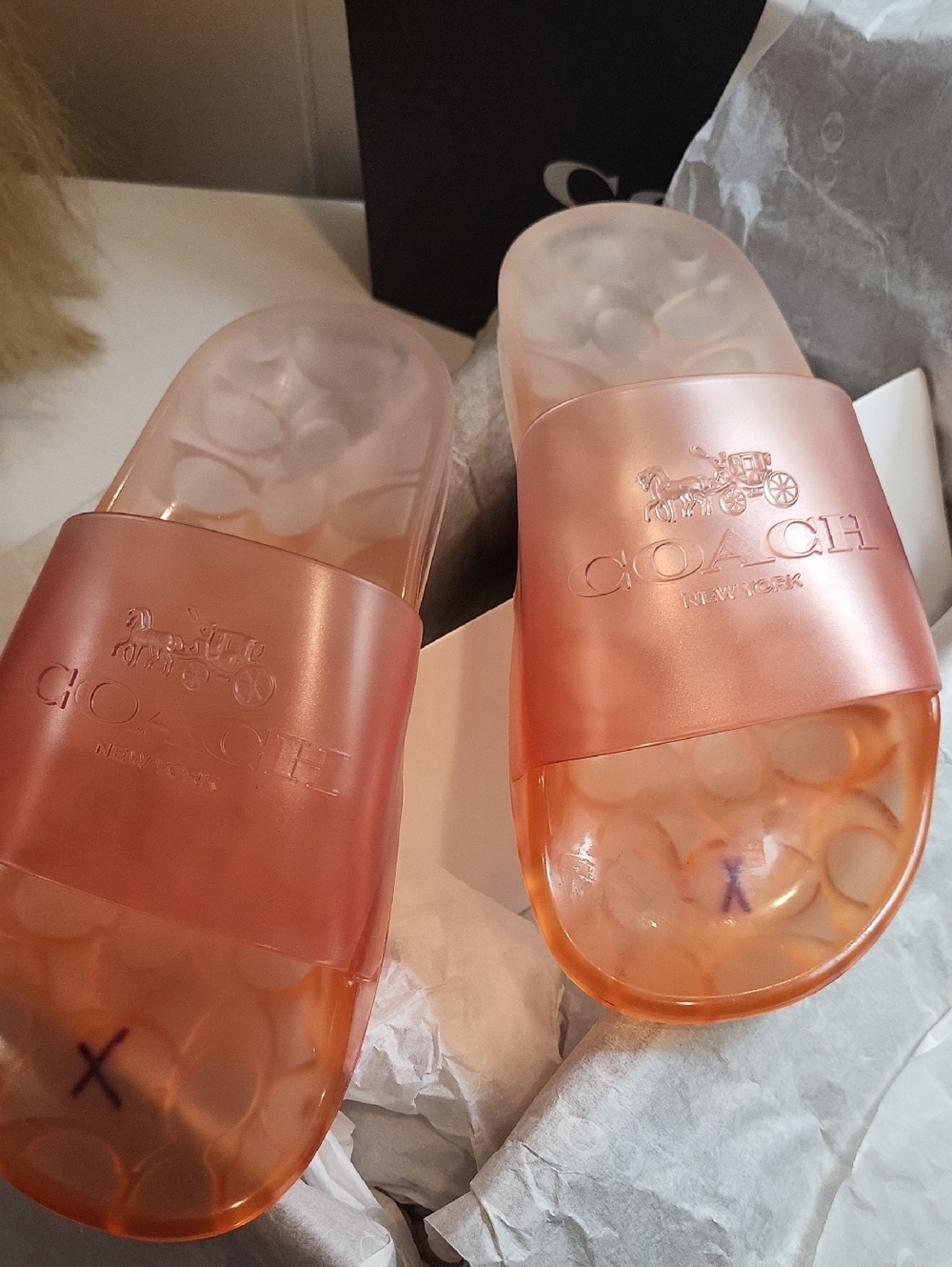 COACH Logo Slide Sandals in Translucent Peach, Size 6 - Picture 2 of 4